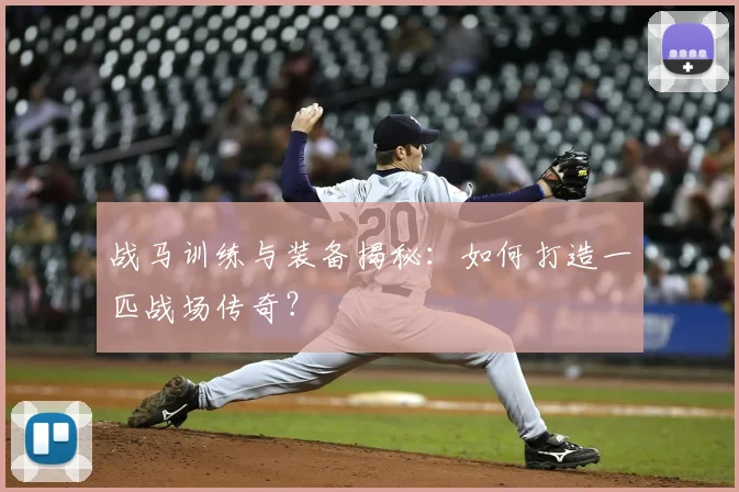 战马训练与装备揭秘：如何打造一匹战场传奇？